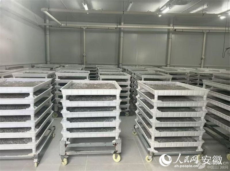 B(yng)ֳϲMQW(wng)ӛ wSz